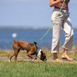 Load image into Gallery viewer, Rainforest (Olive/Lime/Turq) Harness Lead NEW design! *insert is removable