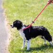 Load image into Gallery viewer, Pink Harness Lead NEW design! *insert is removable