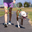Load image into Gallery viewer, Peacock (Blue/Lime) Harness Lead NEW design! *insert is removable