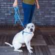 Load image into Gallery viewer, Swell (Blue/Turquoise) Harness Lead NEW design! *insert is removable