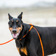 Load image into Gallery viewer, ResQ (Orange Reflective) Harness Lead NEW design! *insert is removable