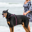 Load image into Gallery viewer, Raspberry/Pink/Purple NEW design! *insert is removable