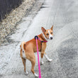 Load image into Gallery viewer, Retro (Pink/Purple) Harness Lead NEW design! *insert is removable