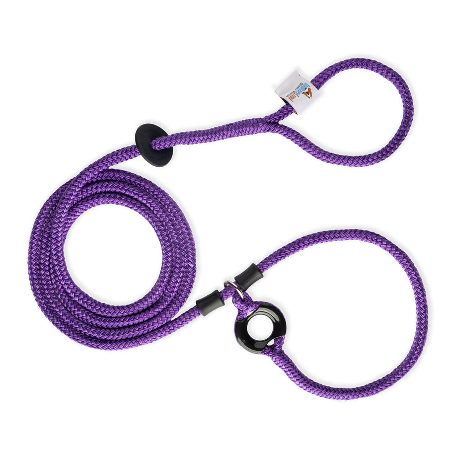 Daphneyland Signature Purple Harness Lead (PROCEEDS TO CHARITY) NEW design! *insert is removable
