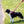 Load image into Gallery viewer, Pink Harness Lead NEW design! *insert is removable
