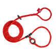 Load image into Gallery viewer, Red Reflective Harness Lead NEW design! *insert is removable
