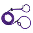 Load image into Gallery viewer, Daphneyland Signature Purple Harness Lead (PROCEEDS TO CHARITY) NEW design! *insert is removable*WILL NOT SHIP UNTIL 2/9/26
