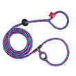Load image into Gallery viewer, Reef (Purple/Rasp/Turq) Harness Lead NEW design! *insert is removable
