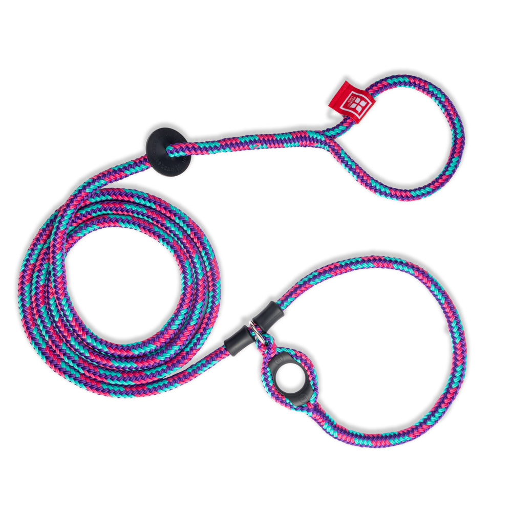 Reef (Purple/Rasp/Turq) Harness Lead NEW design! *insert is removable
