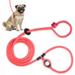 Load image into Gallery viewer, Pink Harness Lead NEW design! *insert is removable
