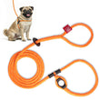 Load image into Gallery viewer, ResQ (Orange Reflective) Harness Lead
