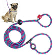 Load image into Gallery viewer, Reef (Purple/Rasp/Turq) Harness Lead NEW design! *insert is removable
