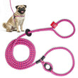 Load image into Gallery viewer, Retro (Pink/Purple) Harness Lead NEW design! *insert is removable
