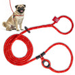 Load image into Gallery viewer, Red Reflective Harness Lead NEW design! *insert is removable
