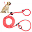 Load image into Gallery viewer, Pink Harness Lead NEW design! *insert is removable

