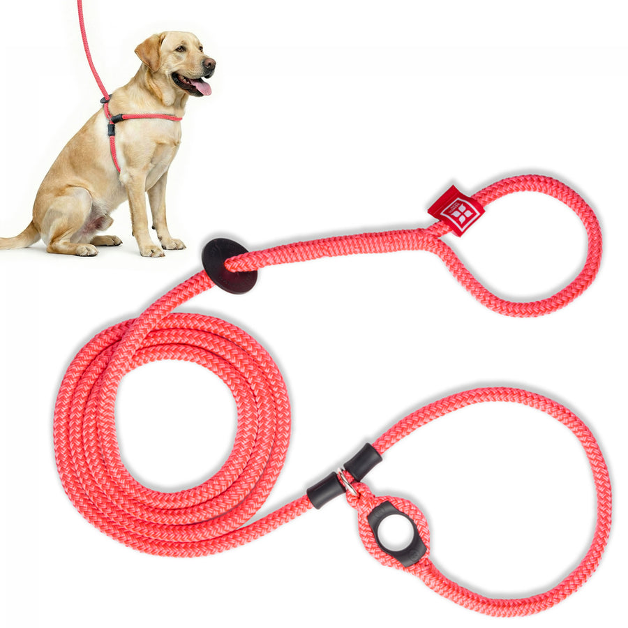 Pink Harness Lead