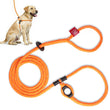 Load image into Gallery viewer, ResQ (Orange Reflective) Harness Lead
