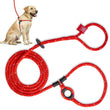 Load image into Gallery viewer, Red Reflective Harness Lead NEW design! *insert is removable

