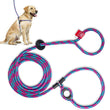 Load image into Gallery viewer, Reef (Purple/Rasp/Turq) Harness Lead NEW design! *insert is removable
