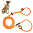 Load image into Gallery viewer, ResQ (Orange Reflective) Harness Lead
