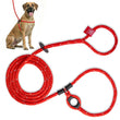 Load image into Gallery viewer, Red Reflective Harness Lead NEW design! *insert is removable
