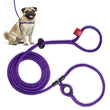 Load image into Gallery viewer, Purple (Daphneyland) Harness Lead
