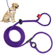 Load image into Gallery viewer, Purple (Daphneyland) Harness Lead
