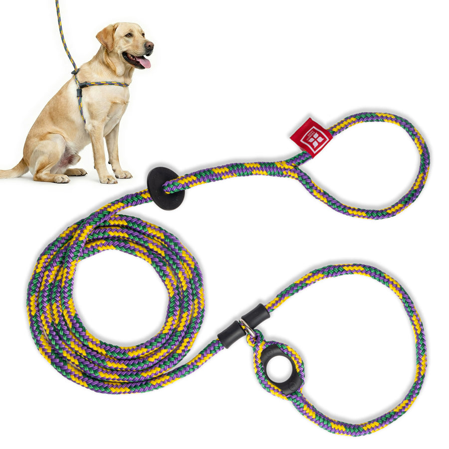 Villalobos Signature Harness Lead (Purple/Green/Yellow) (Proceeds to c