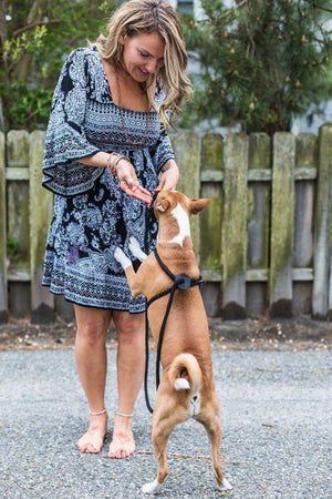 Black Reflective Harness Lead