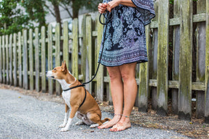 Black Reflective Harness Lead