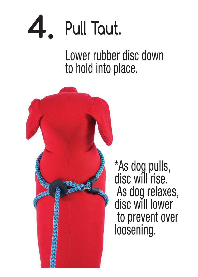 Dog sales harness lead
