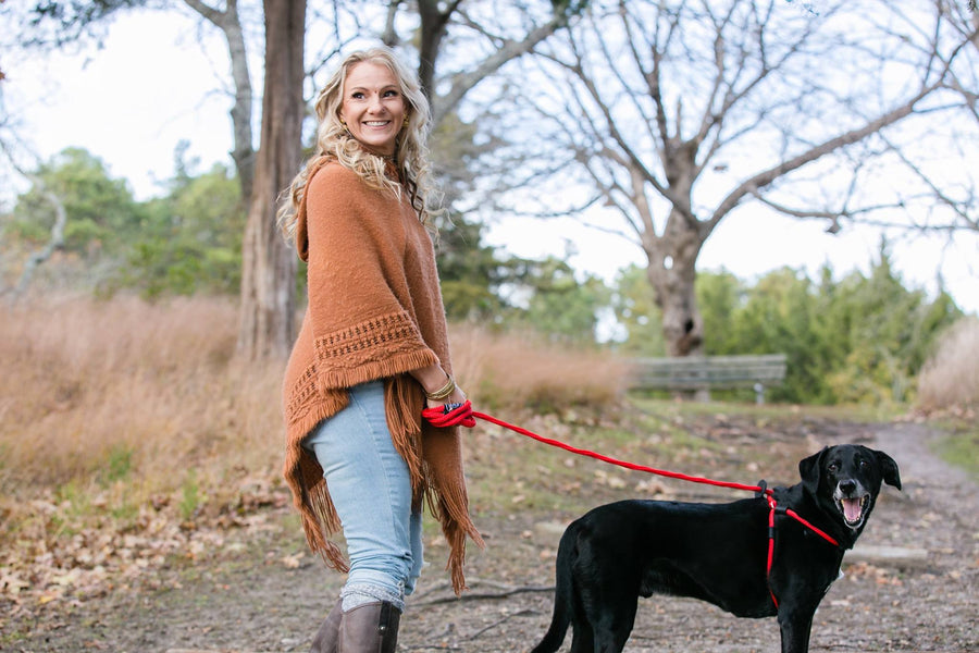 Red Reflective Harness Lead