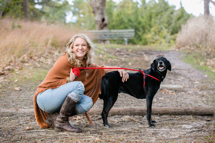 Red Reflective Harness Lead