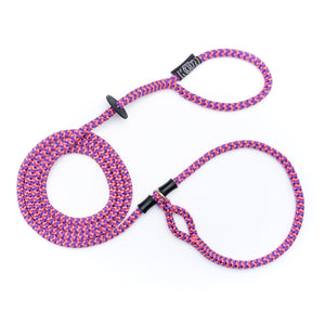 Retro (Pink/Purple) Harness Lead