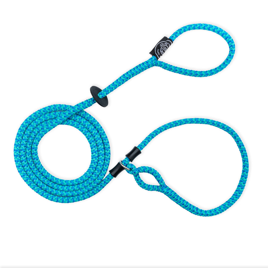 Swell (Blue/Turquoise) Harness Lead