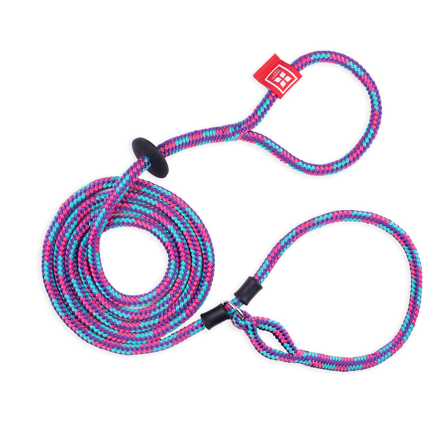 Reef (Purple/Rasp/Turq) Harness Lead